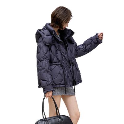 New Down Jackets for Women In Autumn and Winter, Thickened Duck Down, Fashionable and Versatile, Simple Warm Jackets for Women