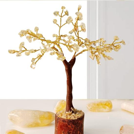 wald bonsai Bonsai Wald Larix decidua – Bonsai winkel