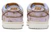 Nike SB Dunk Low Premium City Of Style FN5880-001