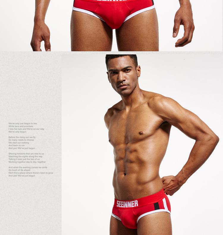 Men's Combed Cotton Triangle Underwear - Seeinner Collection