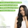 Mamaearth Rosemary Anti Hair Fall Conditioner 250 Ml For Breakage Control Stronger Smoother Frizz Free Hair Men And Women