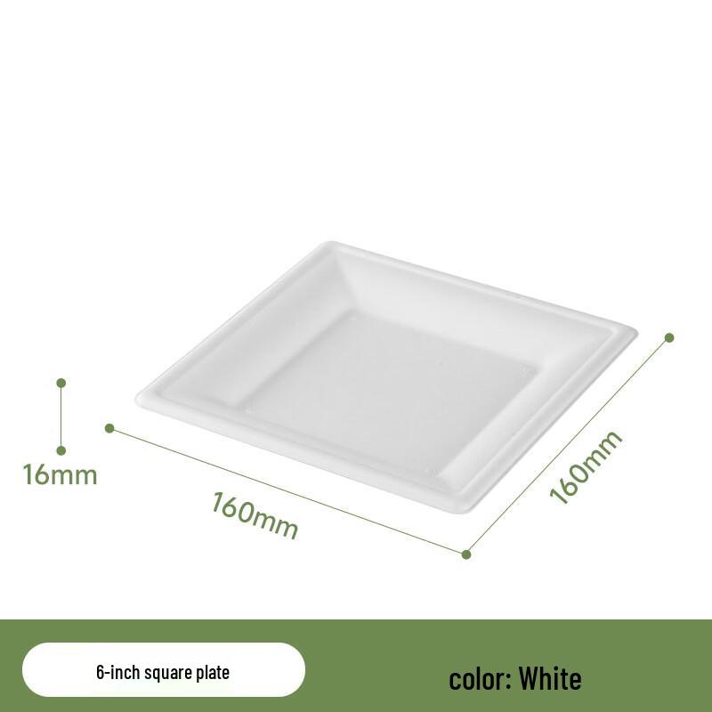 Shaolv Disposable Sugarcane Pulp Square Plate