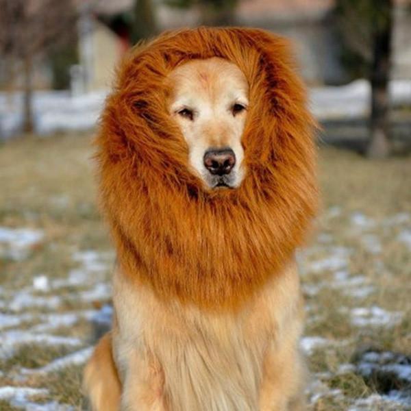 Pet Costume Lion Mane Wig For Dog Halloween Festival Dress Up Prop Fashion Gift