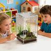Jumping Spider Habitat Comfortable Acrylic Full Transparency Small Reptile Enclosure Habitat For Lizards Small Turtles Snails