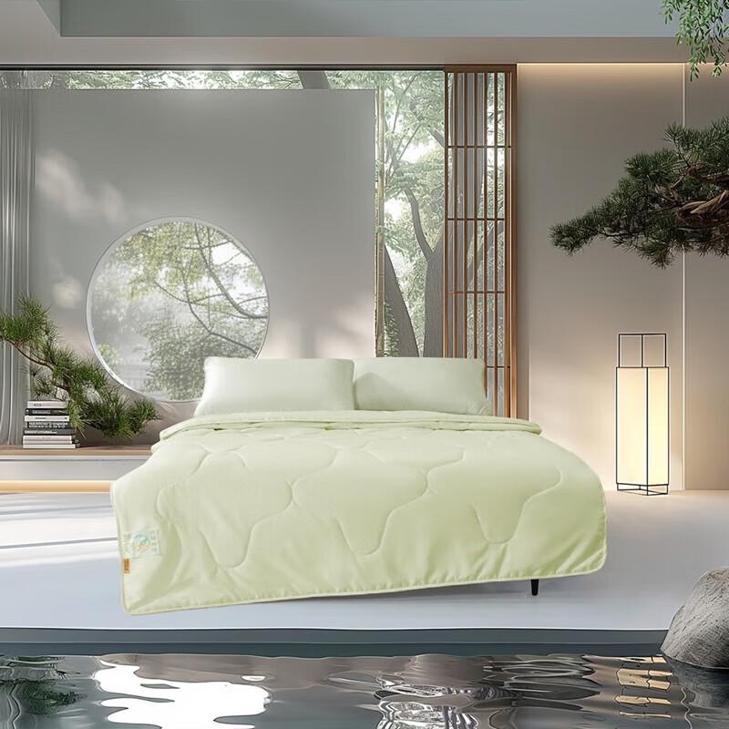 

Mercury Home Yueji L-Theanine Antibacterial Summer Quilt