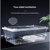 Reptile Terrarium Box Snake Spider Gecko Frog Lizard Turtle Insect Breeding Case Pet Supplies Habitat Tank