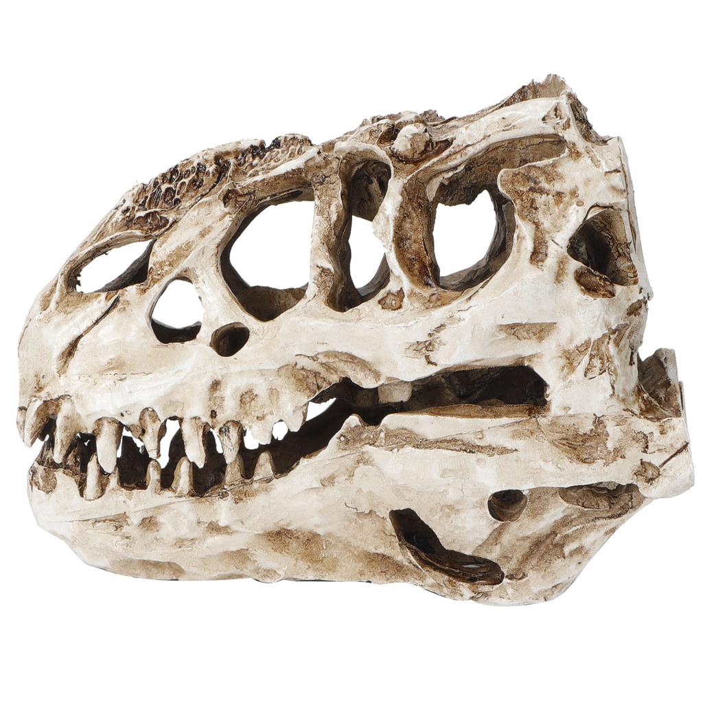 Resin Dinosaur Skull Personality Animal Skeleton Ornaments Props Halloween Collection Craft Decor