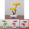 Indoor Decorative Plastic Bonsai Potted Plant For Home Decor