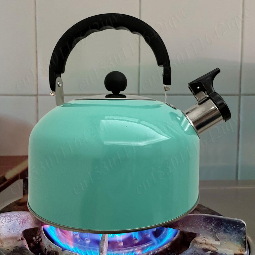 3L Stainless Steel Whistling Tea Kettle Water Boiler Heat-Resistant Flat Bottom Teapot Multi-Function Camping Pot for All Stoves