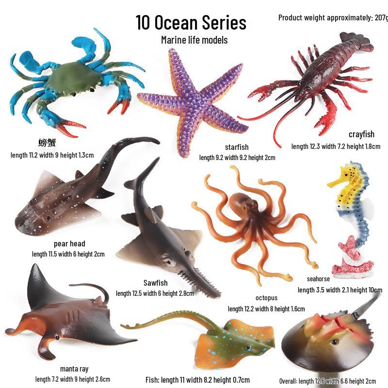 Marine Animal Simulation Model Figures: Shark, Dolphin, Hammerhead, Crab, Squid, Starfish for Kids' Education