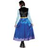 Halloween Adult Women's Princess Anna Dress Costume Snow Queen Princess Anna