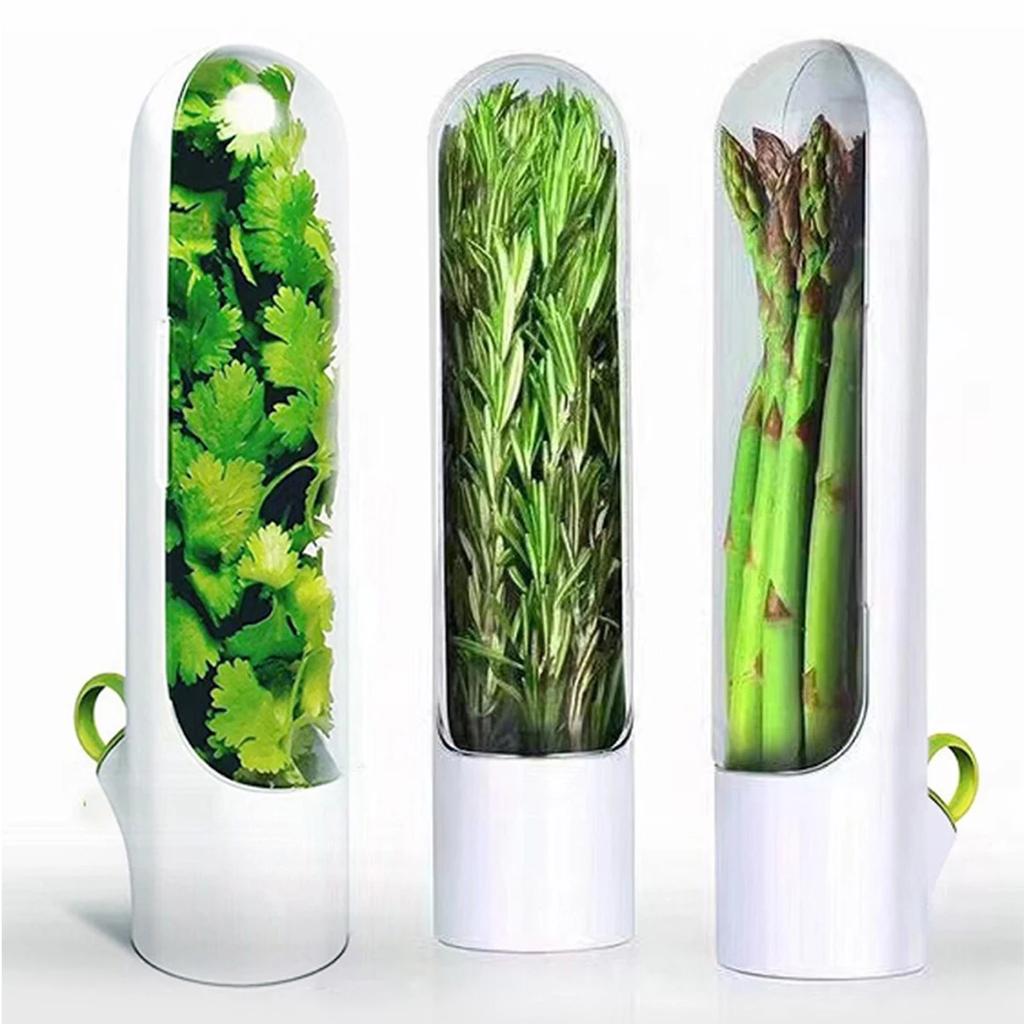 Cross-border Vanilla Vegetable Fresh-keeping Box Dust-proof Anti-pressure Environmental Protection Fresh-keeping Device Creative