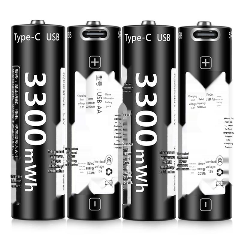 LEISE Type-C Rechargeable Li-ion Batteries CN plug (adapter included)