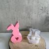 Liebe Kaninchen Gips Dekoration Form Flexibel Osterdekorationen Kaninchen Silikonform Mehrere Formen Für Heimdekor DIY Bastelarbeiten