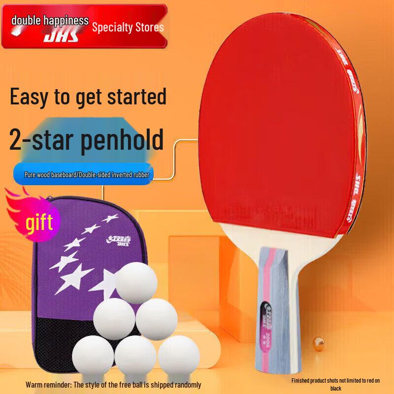DHS 2-Star Penhold Table Tennis Racket