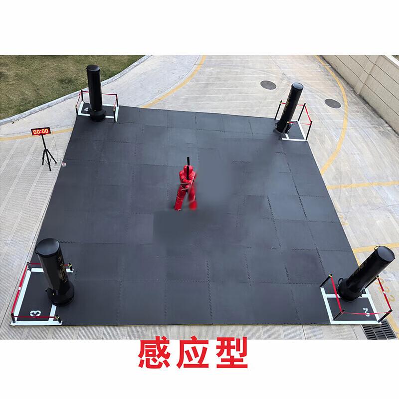 Combat Sports Training Gear