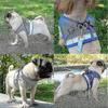 Comfortable Cat Harness Escape Proof for All Sizes