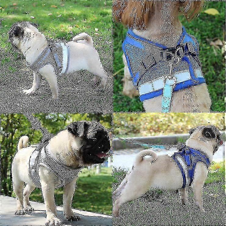 Comfortable Cat Harness Escape Proof for All Sizes