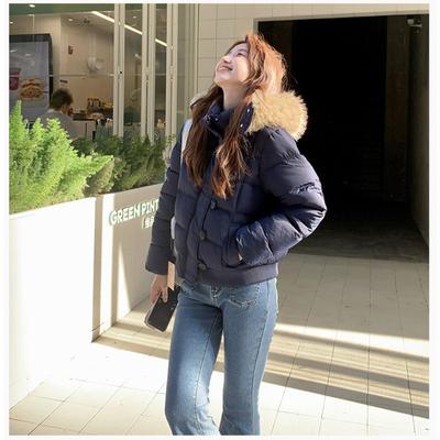 Chaquetas y abrigos – Chaquetas
