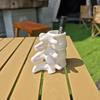 Spine Shape Pen Holder, Desktop Ornament & Stationery Organizer, Orthopedic Gift for Doctors, Teachers & Nurses