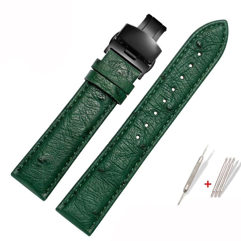 Genuine Watchband Ostrich Leather Strap Fit Seiko Omega Citizen Universal Bracelet 18mm 20mm 21mm 22mm Watch Band Brown Green