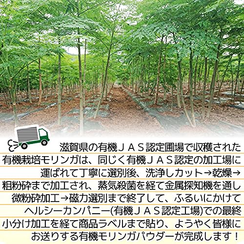 Healthy Company Organic Japanese Moringa Powder 100g (Moringa Powder, Moringa Green Juice, Organic)