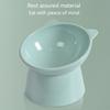 Raised Cats Bowls Small Dog 45° Tilted Dish with Stand Feeders for Dog Cats