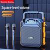 Newmine K503 Portable Bluetooth Karaoke Speaker with Dual Mics (CN Version)