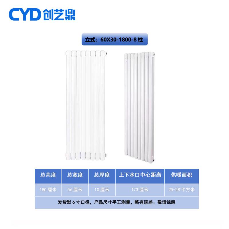 Chuang Yi Ding Steel 6030 Two-Column Hot Water Radiator