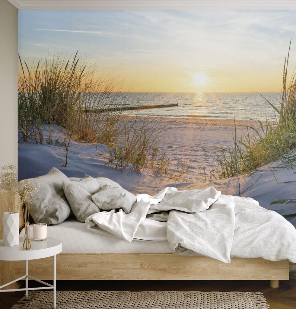 Fototapeta Flizelinowa Premium - 450 X 315 Cm - Styl Eklektyczny - Natura