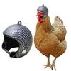 Cască de pui, reglabilă, sigură, confortabilă, drăguță, de protecție, pentru păsări mici, pentru animale de companie