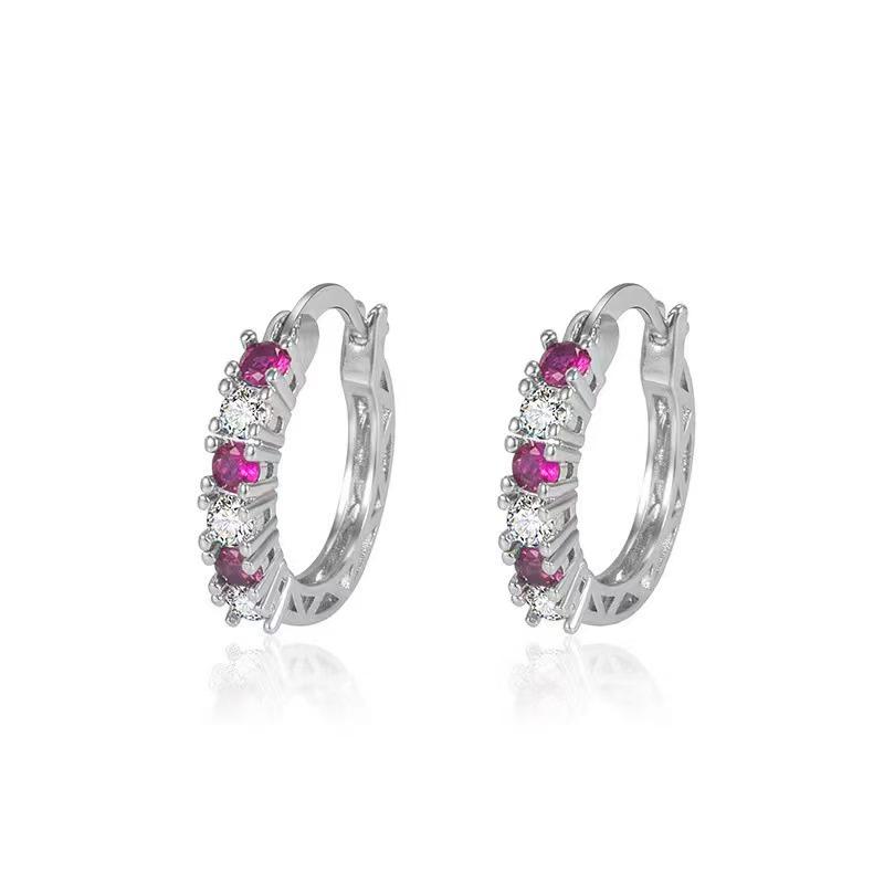 European & American Stylish Circle Earrings with Purple Zircon Inlay