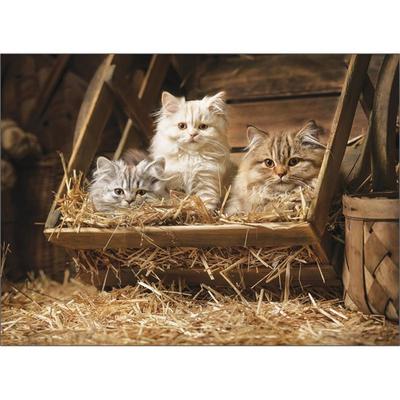 Puzzle Korea Cats In the Old Barrel Jigsaw Puzzle 3515, Korean Popular Puzzles