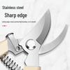 Stainless Steel Cross-Border Pruning Shears for Thick Branches – Garden, Horticulture, and Fruit Picking Scissors