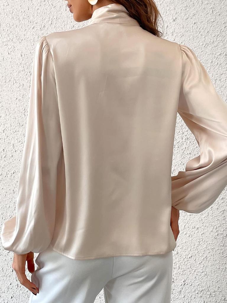Women's Long Sleeve Satin High Neck Bow Top
