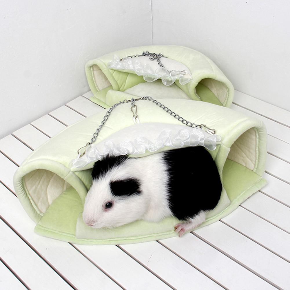 guinea pig swing