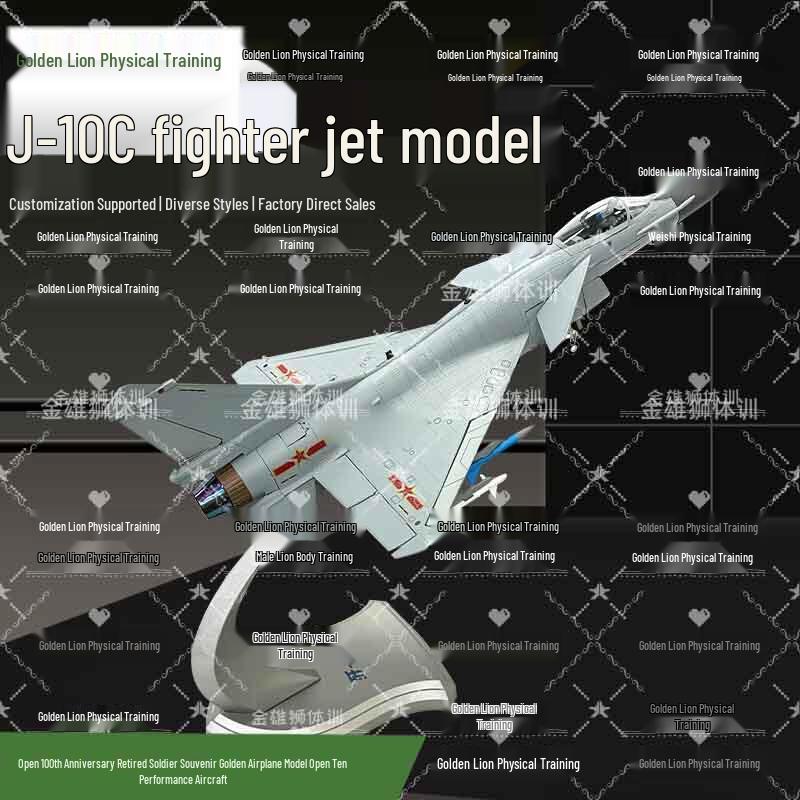 J-10 Fighter Jet Aircraft Scale Model