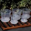 Breathable Flowerpot Transparent PP Blueberry Planter Pot for Phalaenopsis Hydroponics Hot Plants Self-Watering Aerating Plant Pot for Home Garden
