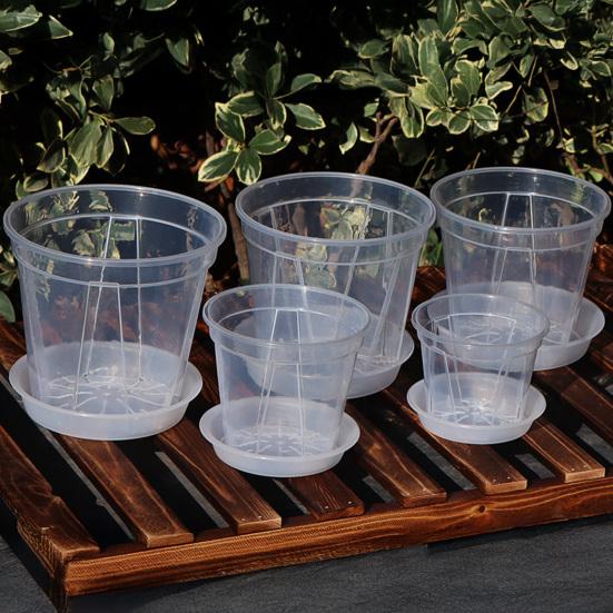 Breathable Flowerpot Transparent PP Blueberry Planter Pot for Phalaenopsis Hydroponics Hot Plants Self-Watering Aerating Plant Pot for Home Garden