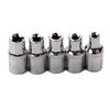 Set of 14 star-shaped Torx sockets type E I Ratchet box I Socket set Profile E (external Torx) E4 - E24