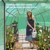 Polytunnel Greenhouse with Plastic Cover and Steel Frame, Walk-In Greenhouse Tent with Roll-Up Doors, Green