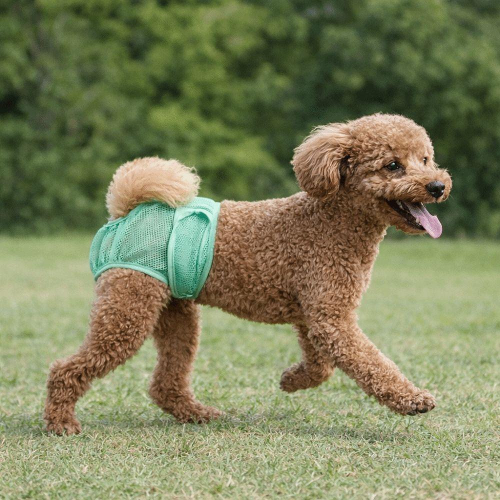 Comfort Fit Dogs Diaper High-Absorbency Pet Physiological Pants Dog Underwear  Anti-Harassment