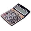 Deli 1560 Large Button Voice Financial Calculator