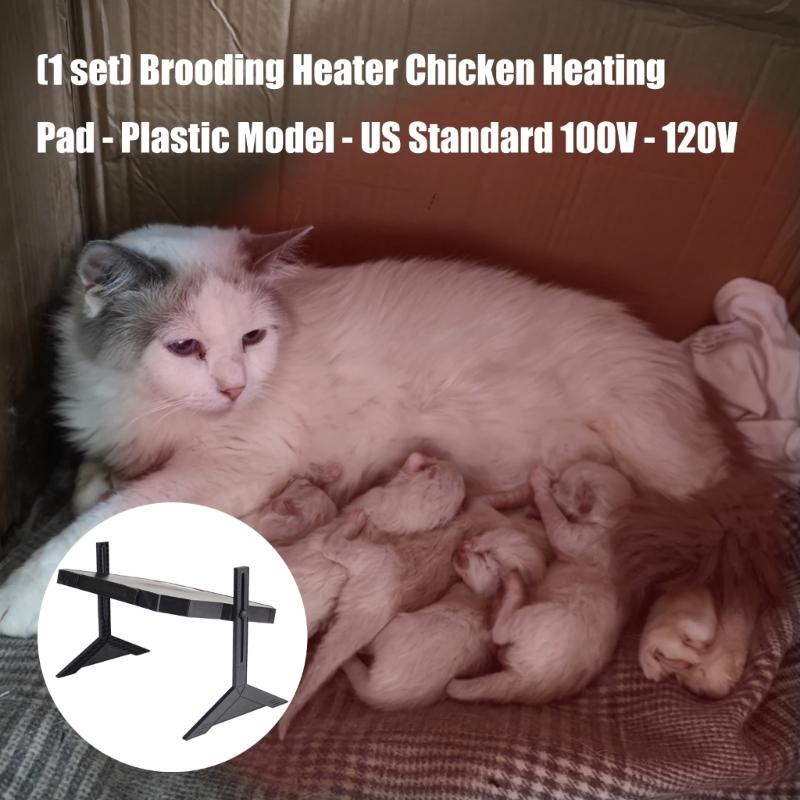Energieffektiv kyllingvarmeplate med justerbare vinkler for hjemme- og gårdsbruk Overopphetingsbeskyttelser