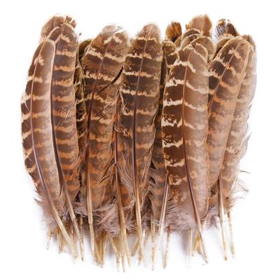 Natural Female Pheasant Feathers for Carfts Chicken Handicraft Accessories Decoration Plumas Feather Decor Carnaval
