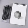 Pro Charcoal Pencils Set Non-wood Kid Adult Drawing Art Craft 3/6X