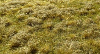Model Scene Premium Grass Fallow Late 18cm X Hobby F523 Mat, Field, Summer, 28cm, Material, (Diorama)