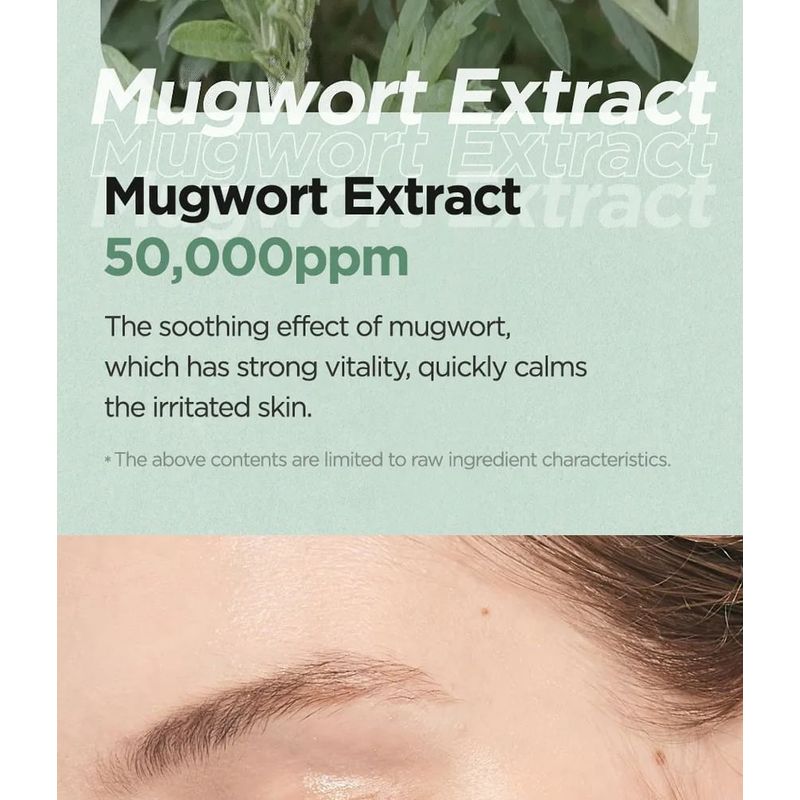ISNTREE Mugwort Calming Clay Mask