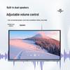 Periferice pentru calculatoare – Monitoare portabile