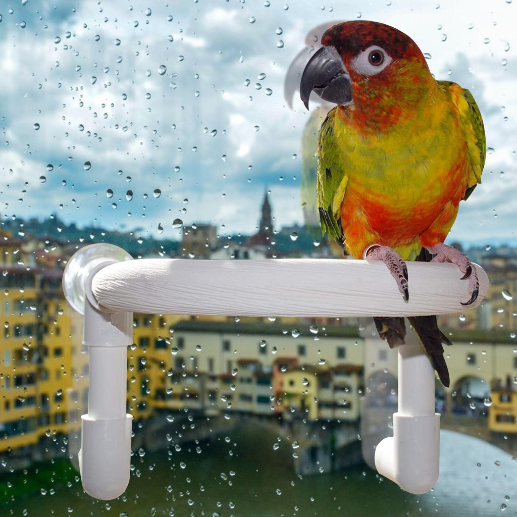 Parrot Bird Shower Perch with Portable Suction Cup Bird Cockatoo Bath Perch Toy Standing Platform Bath Stand